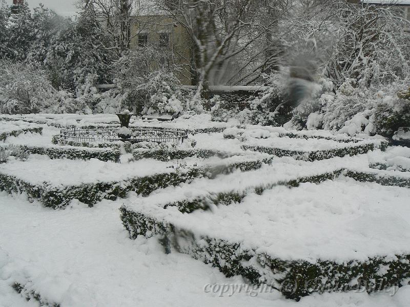 Herb garden in the snow, Greenwich Park P1070361.JPG